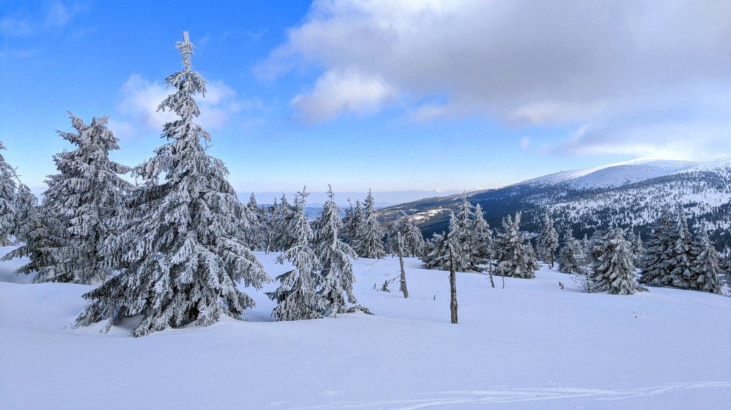 March Mountain Madness